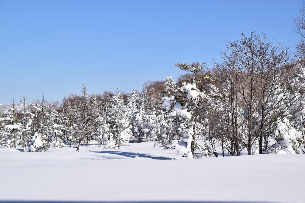 Villa Ichinose Yamanouchi  Eksteriør billede